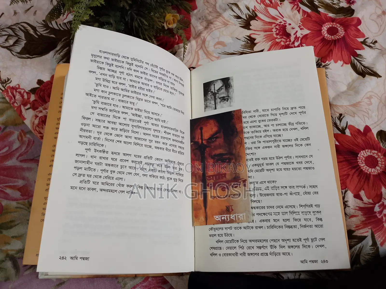 Ami Podmoja Book