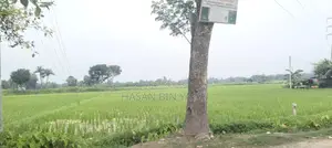 যশোর সদরে জমি বিক্রয় (যশোর মেডিকেল কলেজ হাসপাতালের কাছে)