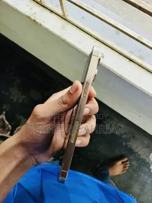 অ্যাপল আইফোন ১৪ প্রো ম্যাক্স ২৫৬ জিবি গোল্ড