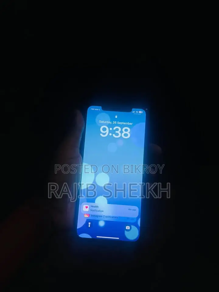 অ্যাপল আইফোন এক্সএস ম্যাক্স ২৫৬ জিবি গোল্ড