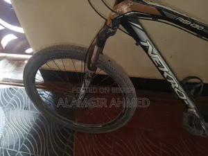 Non-gear Bicycle