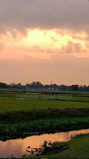 ফটোগ্রাফার এডিটর