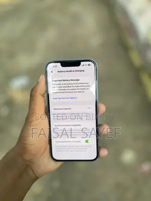 অ্যাপল আইফোন ১৩ ২৫৬ জিবি নীল