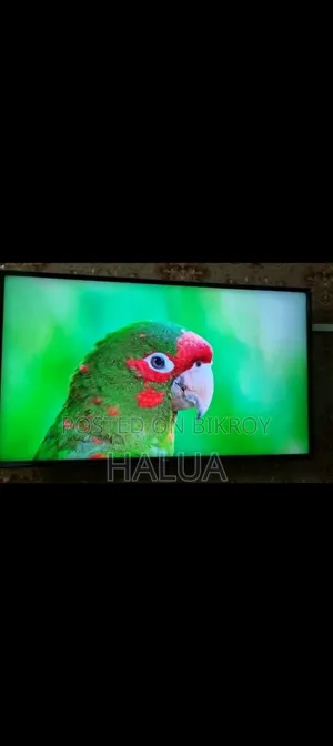 হাইয়ার টিভি ৪৩ এবং ৫০ ইঞ্চি