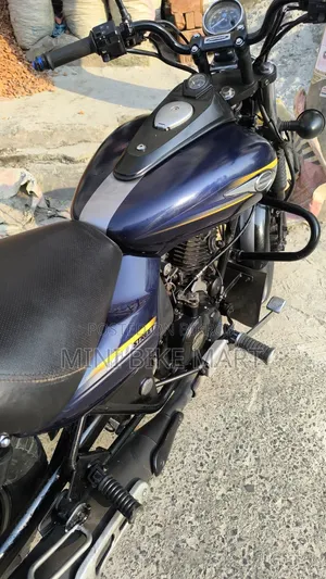 Bajaj Avenger 150 Street 2017 Blue