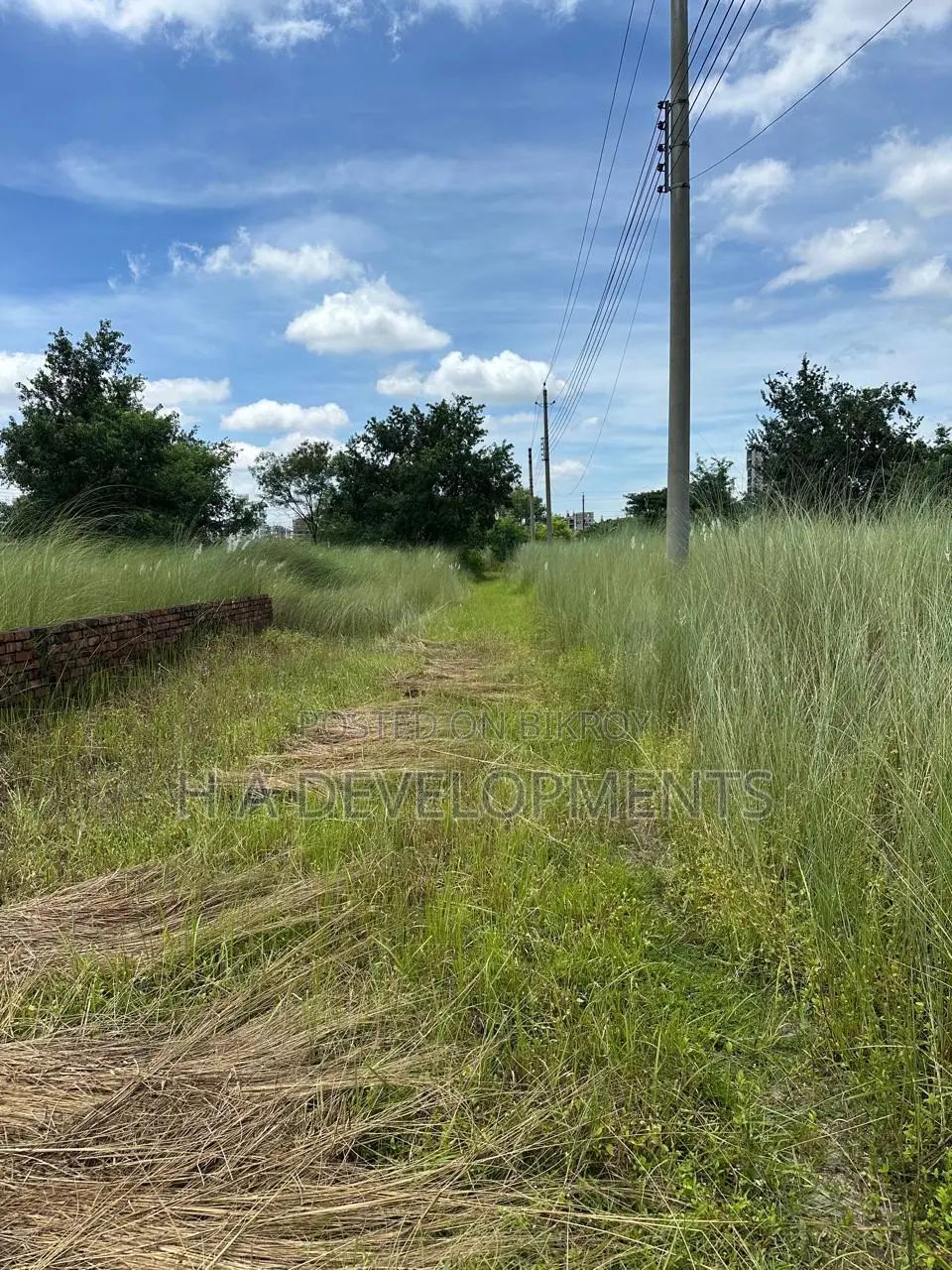 3 Katha North-Facing Ready Plot for Sale – Bashundhara Block P