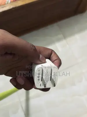অ্যাঙ্কার অরিজিনাল চার্জার
