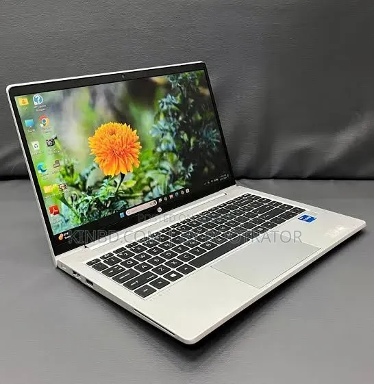 ল্যাপটপ HP ProBook 640 G8 ১৬জিবি ইন্টেল কোর আই৫ এসএসডি ৫১২জিবি