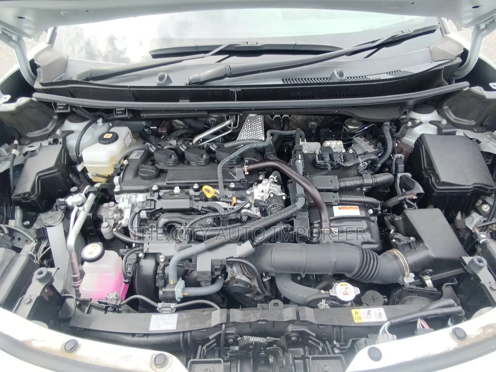 Toyota Yaris Cross 2021 Pearl