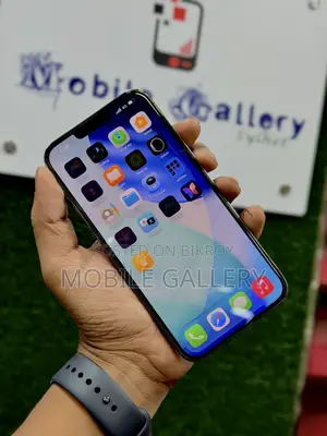 অ্যাপল আইফোন ১৩ প্রো ম্যাক্স ২৫৬ জিবি ব্ল্যাক