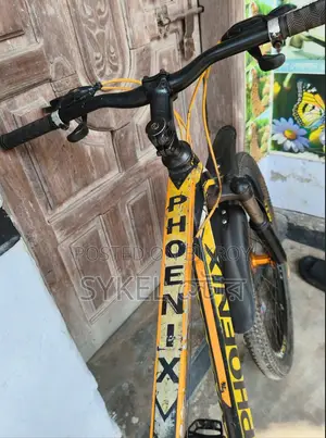 Phoenix Bicycle
