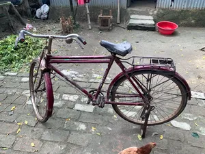 Duranta by Cycle