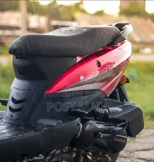 Runner SKOOTY-110 2022 Red