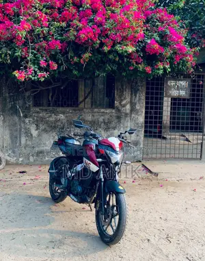 বাজাজ পালসার এনএস ১৬০ ২০১৮