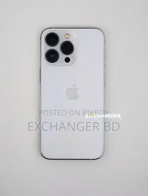 Apple iPhone 13 Pro 256 GB Silver