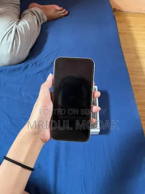 New Apple iPhone 15 Pro Max 256 GB Silver
