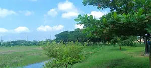 Residential Plots for Sale – Southernville, Dhaka-Mawa Highway