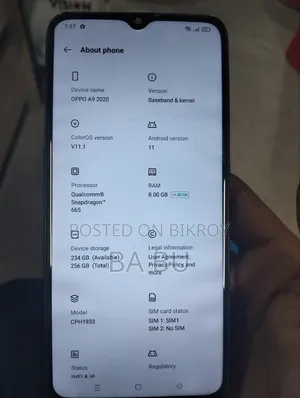 ওপ্পো এ৯ ১২৮ জিবি ব্লু