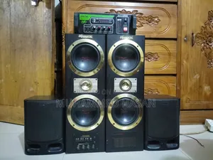 Blosonic Sound System, Digital Sound System Sony