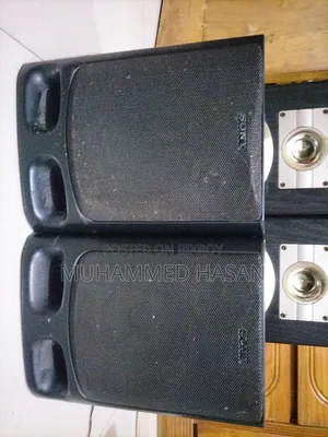 Blosonic Sound System, Digital Sound System Sony