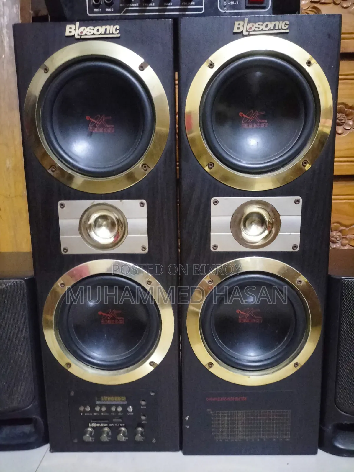 Blosonic Sound System, Digital Sound System Sony