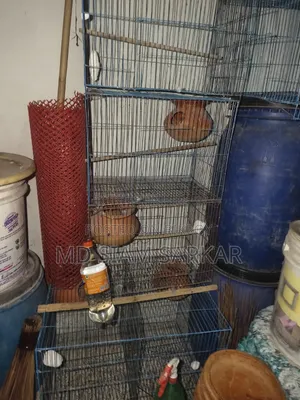 পাখির খাঁচা