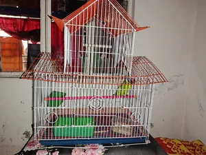চায়না পাখির খাচা ১৮×২২×১২