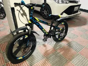 Phoenix Cycle