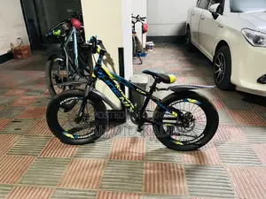 ফিনিক্স সাইকেল