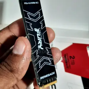 Kingston Fury Renegade 2TB Gen 4