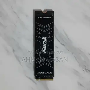 Kingston Fury Renegade 2TB Gen 4