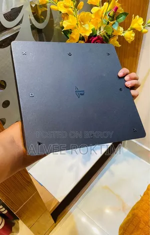 PS4 Slim JB 500GB