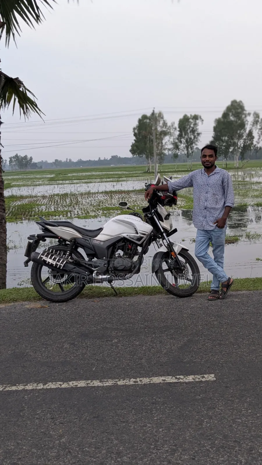 হিরো হাংক ২০২১ সাদা
