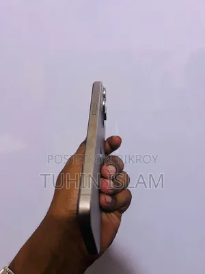 অ্যাপল আইফোন ১৫ প্রো ম্যাক্স ২৫৬ জিবি সিলভার