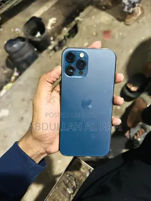 Apple iPhone 12 Pro Max 256 GB Gray