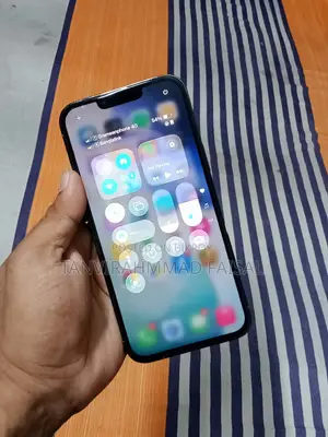Apple iPhone 13 Pro Max 256 GB Silver
