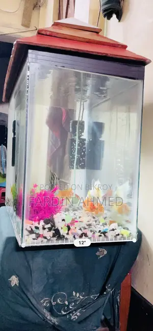 Aquarium with 5 fish, filter, oxygen, stones combo