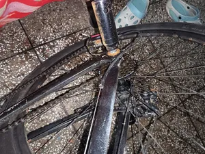 Cycle for Sale
