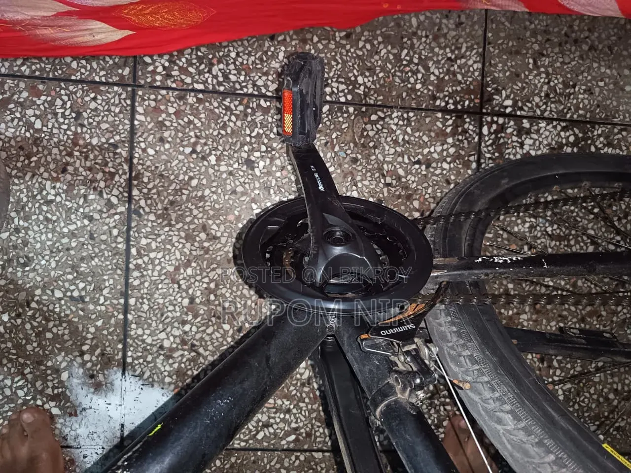 Cycle for Sale