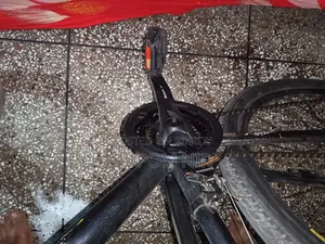 Cycle for Sale