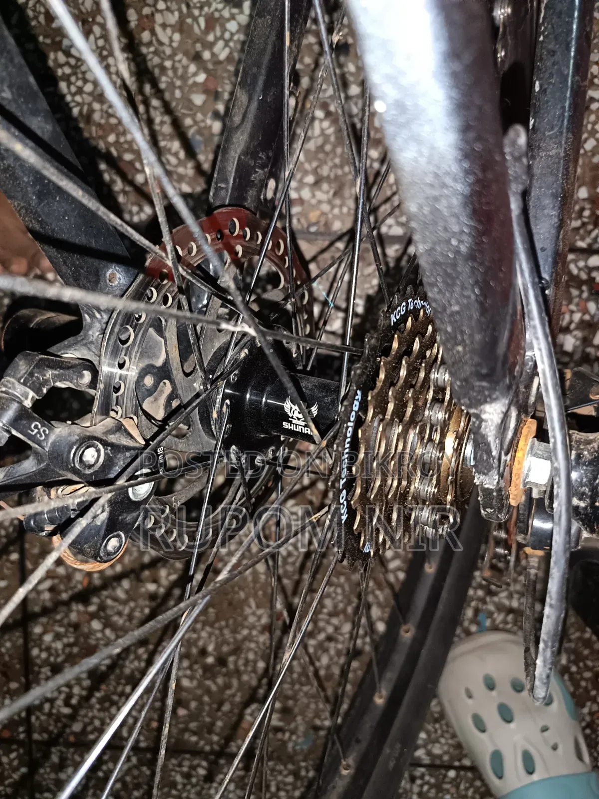 Cycle for Sale