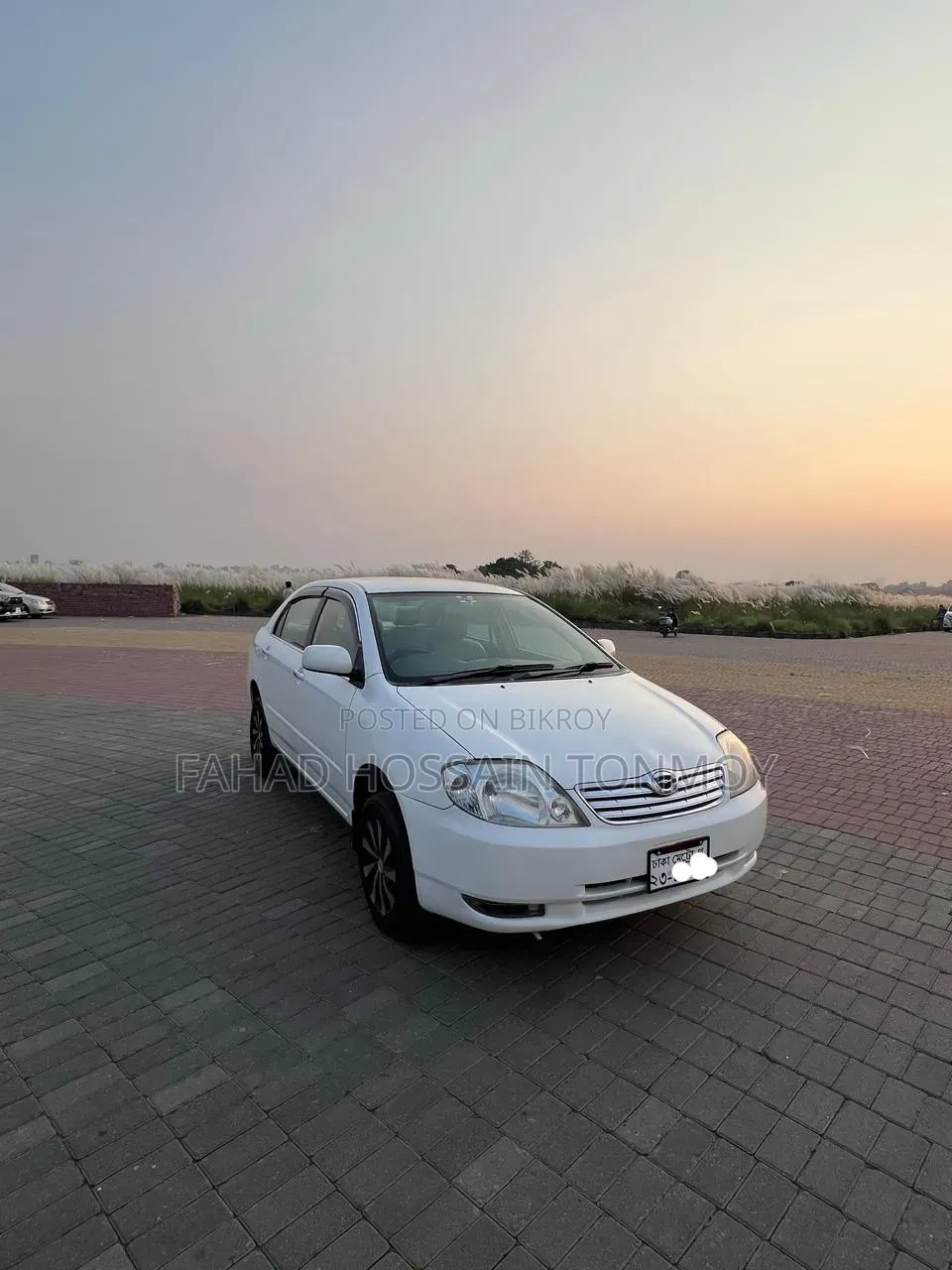 Toyota Corolla Sedan 2003 White