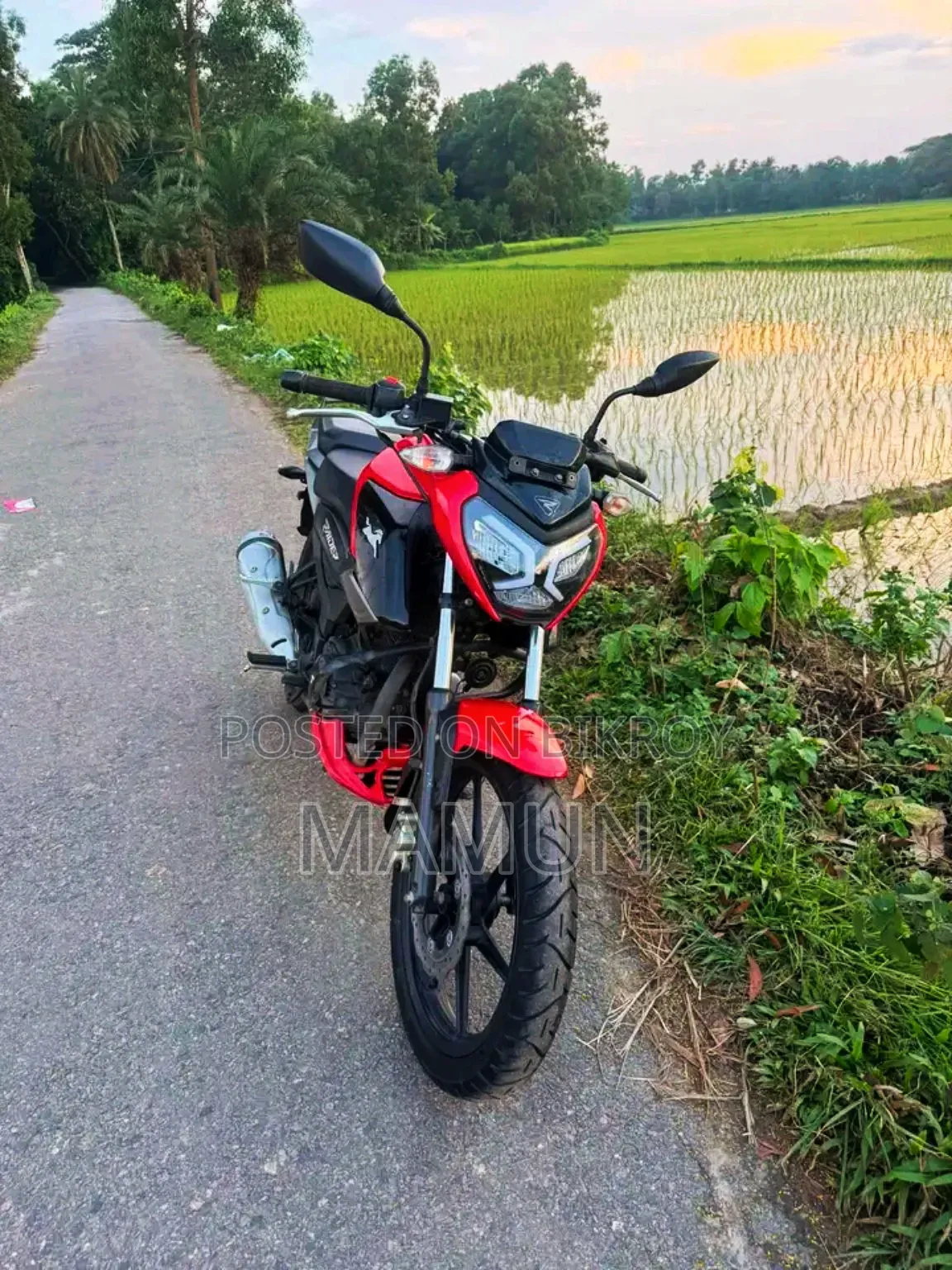 টিভিএস রাইডার ১২৫ ২০২২ লাল