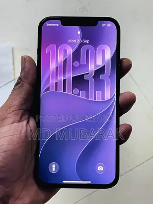 অ্যাপল আইফোন ১২ প্রো ম্যাক্স ২৫৬ জিবি গ্রাফাইট