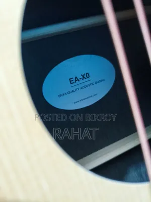 এন্ডিয়া ইএ-এক্সও অ্যাকৌস্টিক – ন্যাচারাল