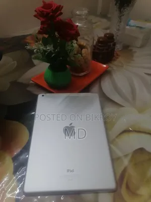Apple iPad Air 16 GB White