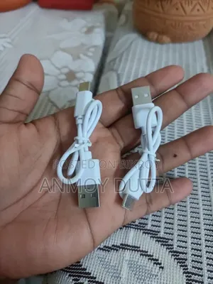 এসএক্স-১ ম্যাক্স (ড্রোন)