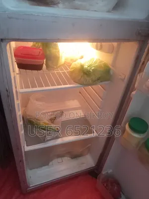 Fridge (Fully OK and running fridge)