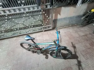 Need money so I will sell the cycle, no work needed just take and ride