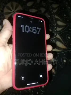 Apple iPhone 11 Pro Max 256 GB Gray